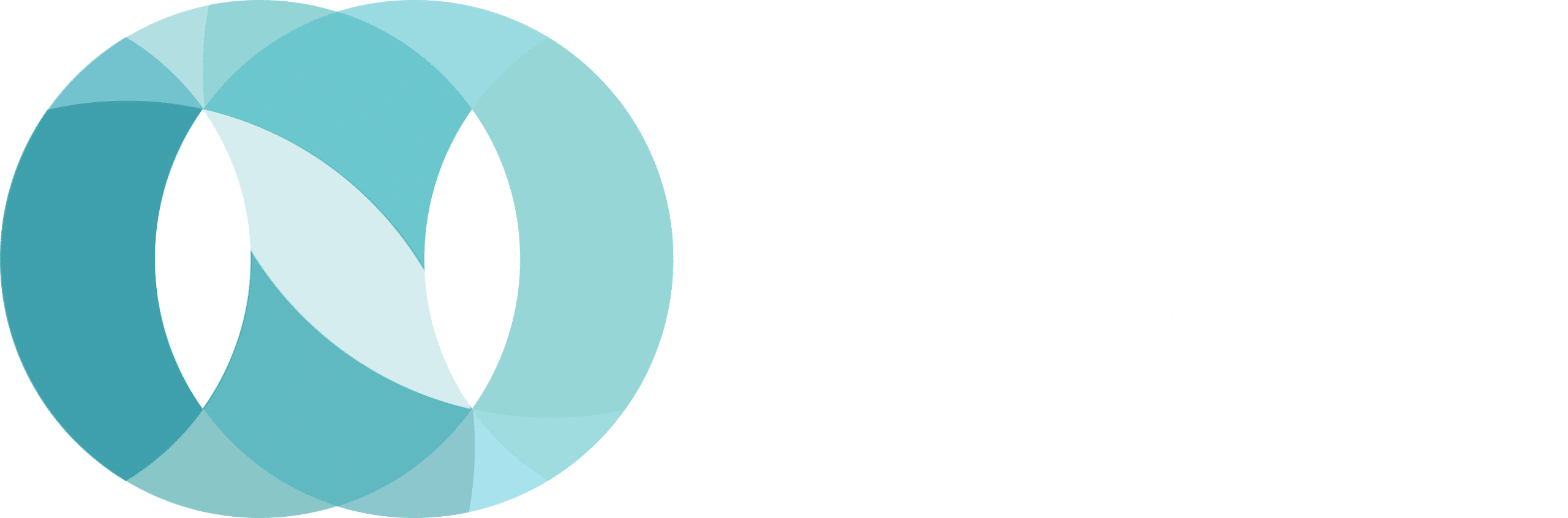 NaberPlastics logo